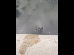 Pissing off Brydges Compilation