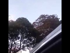 Public Jack off - Screenshot 14 of 16 - Masturbating Outside