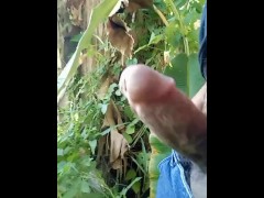 MALAKING SAGING(DM FOR COLLAB)