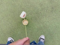 Piss off the Golfers with a Hole In One