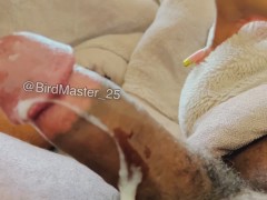 Woke him up with Blow Job. - Screenshot 15 of 16 - Johannesburg