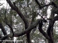 Bouncing on my BBC on Park Bench & Squirting outdoors - Screenshot 1 of 16 - Public Masturbation