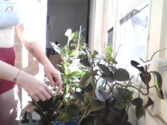 The Not-So-Secret Garden 1