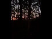 Preview 4 of I Let a Stranger Fuck Me Hard In The Woods at Sunset