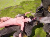 Wild Life / Guy Gets Two Huge Furry Dick (Group) Furry CENTAURS