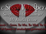 Sissy; The Who, The What, The Why | The Sissy Whisperer Podcast