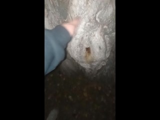 Tree with a Perfect Pussy!