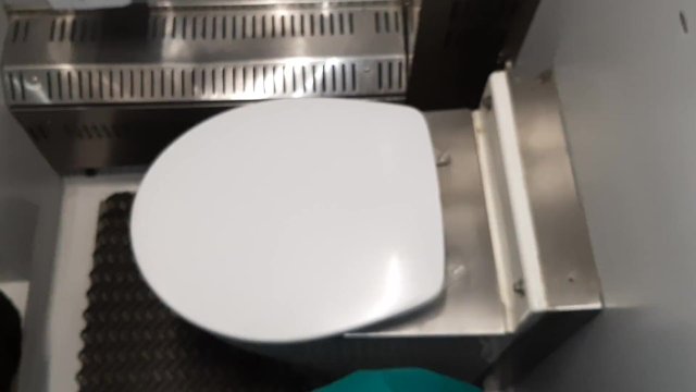 Looking for a thrill, we fucked in the train toilet, where we were caught - Lesbian_illusion