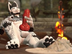 Realise at the Bonfire