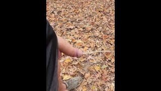 Papá fue atrapado tomando una orina en el bosque en su caminata ayer