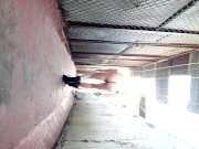 Preview 2 of Naked and hot harder masturbation on public in the roof