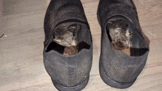 giantess dirty trainers tease