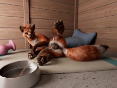 Fox's playing pussy cat in kennel (WS) by h0rs3
