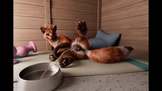 Fox's playing pussy cat in kennel (WS) by h0rs3