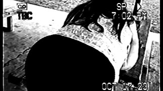 Die BBW-Bänder Vol.2