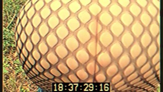 Die BBW-Bänder Vol.4