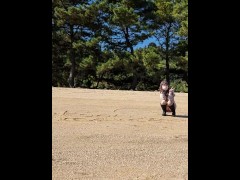 どこにでもいるギャル人妻と海辺で不倫デート　ムラムラしたからちょっとだけフェラをお願いしたらあっさりOK - Screenshot 6 of 16 - 不倫デート