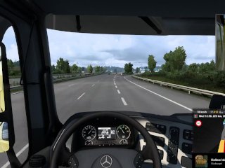 public, euro truck simulator, cartoon, truck driver