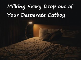 Milking every Drop out of your Desperate Catboy - Pornhub Gay