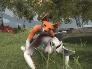 How to Breed a Wolf 🐺 💞 🦊