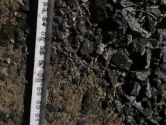 Daddy measures how far he can pee and piss