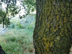 Bella ragazza si perde nel bosco con uno sconosciuto