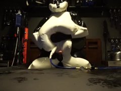 Inflatable Husky Jerk-off