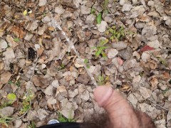 I had to pee while I was on a hiking trail (risky public pee)
