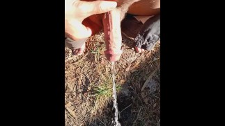 Горячая утечка от Хапа Ли с красивым полумачтовым членом.