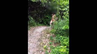 山の小道を散歩しました💓💓💓