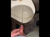 I piss in a urinal in a public office toilet, but I can piss on your face