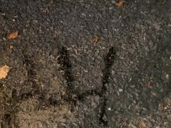 Amateur Brian tries to pee piss and spell public urination