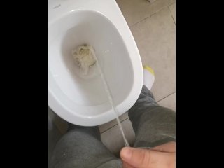 solo male, pissing, toilet, reality