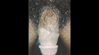 MEIN HAARIGER SCHWANZ
