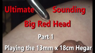 Sondage ultime Big Red tête non coupée Partie 1 Jouer 13mm x 18cm Hegar