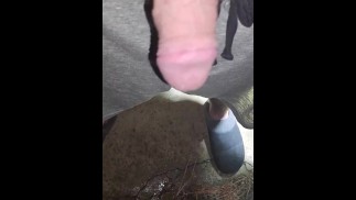 Поздняя ночь моча на тротуар