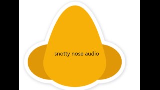 áudio de nariz snotty