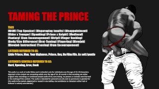 [Áudio] Domando a Prince sacanagem