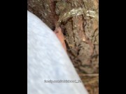 Preview 3 of Watering the tree with my fresh pee. Pissing outdoor is so hot