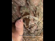 Preview 4 of Watering the tree with my fresh pee. Pissing outdoor is so hot