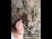 Preview 5 of Watering the tree with my fresh pee. Pissing outdoor is so hot