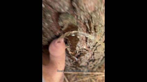 Innaffio l'albero con la mia pipì fresca. Pisciare all'aperto è così caldo.