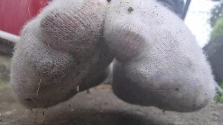 Грязные поношенные носки Joi