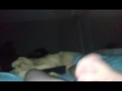 When the sneaky link wants to get pregnant