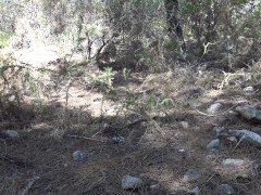 Arab hijab muslim granny anal doggystyle سكس سوري الخبيرة الجزء