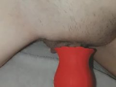 puppy girl humps rose toy until clit grows