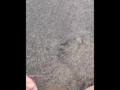I came to the Beach to piss in the waves