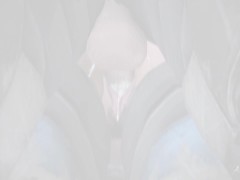 [AnKhajiit] Worker's Compensation - Kat Railed from Behind