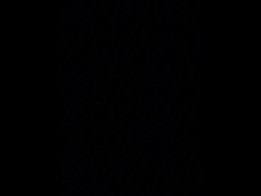 Swedish thefoxyswede wish you a merry christmas