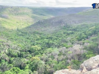 Люблю путешествовать со мной, заниматься сексом на публике